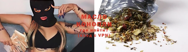 дмт Надым