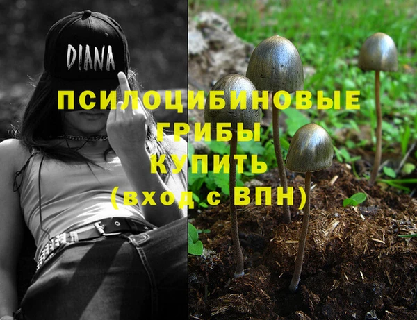 тгк Нефтекумск