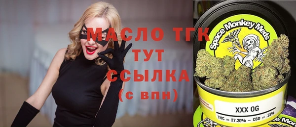 дмт Надым