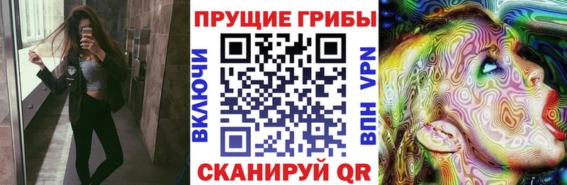 Псилоцибиновые грибы Psilocybe  блэк спрут ссылки  Котельниково 